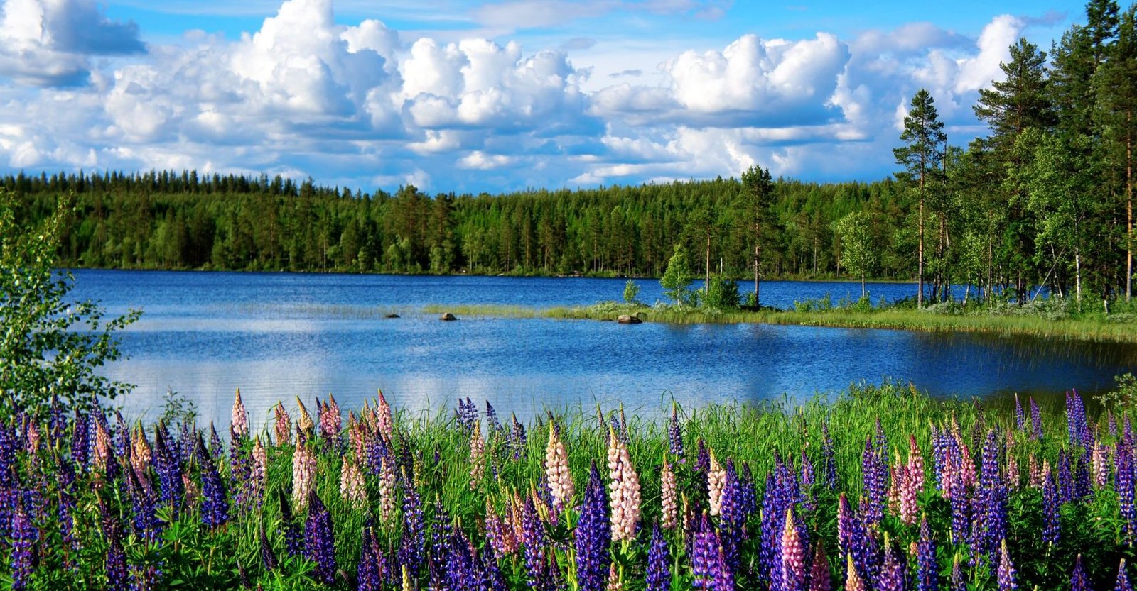 Landscape Photography Landscape Photography